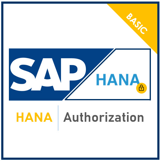 BI370 SAP HANA Authorization